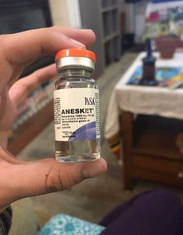 Anesket 1