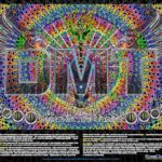 How Long Does DMT Last