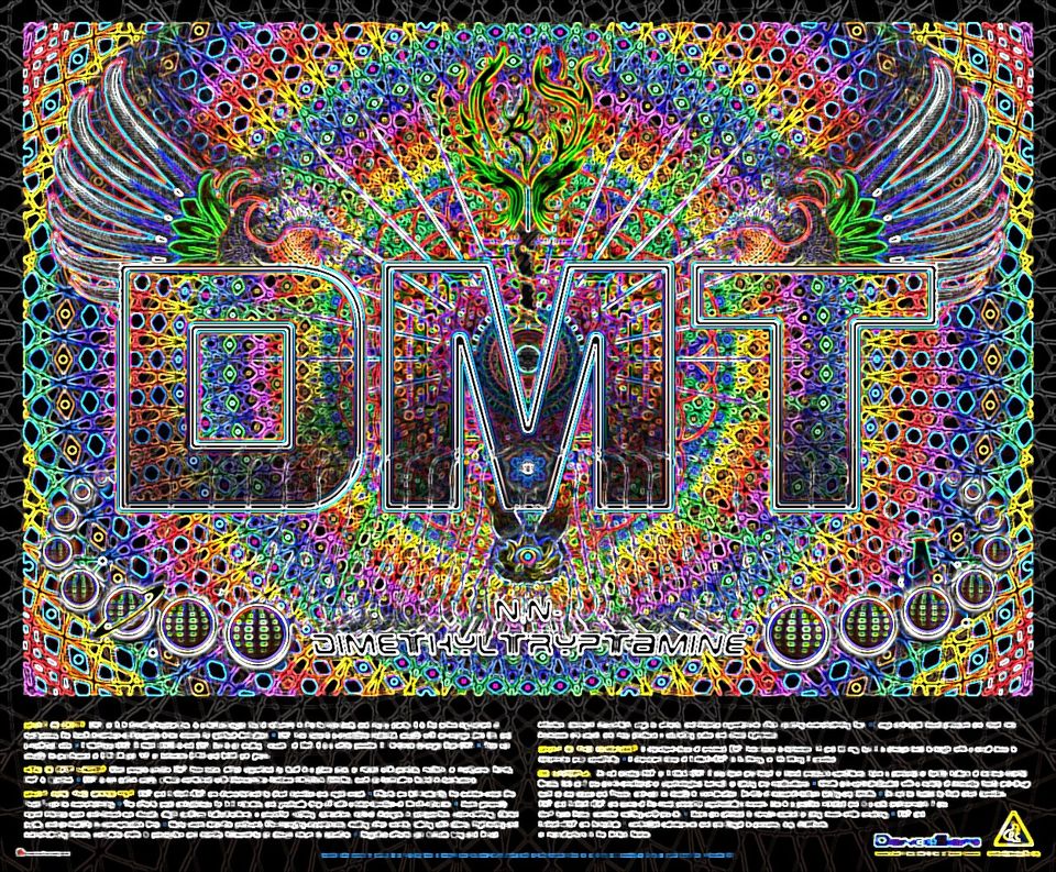 How Long Does DMT Last