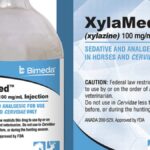 What Does Xylazine Do to Humans