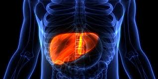 Drug Induced Liver Injury