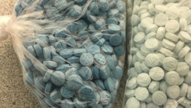 Eastern Idaho Police Issues Warning On Fake Oxycodone Pills