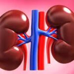 Is Erythritol Safe For Kidneys