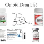 Opioid Drugs List