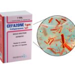 Cefazone Injection 1g