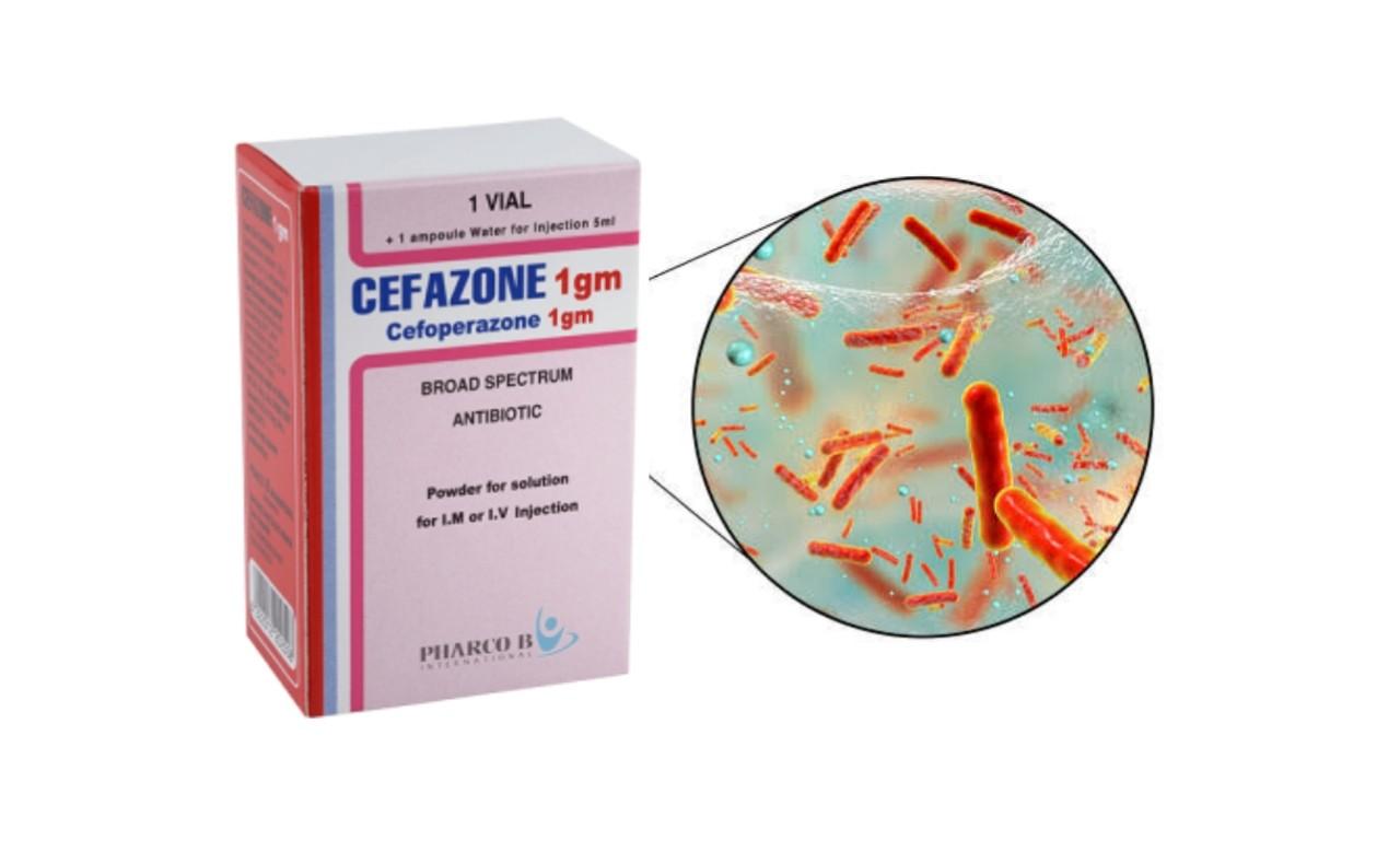 Cefazone Injection 1g