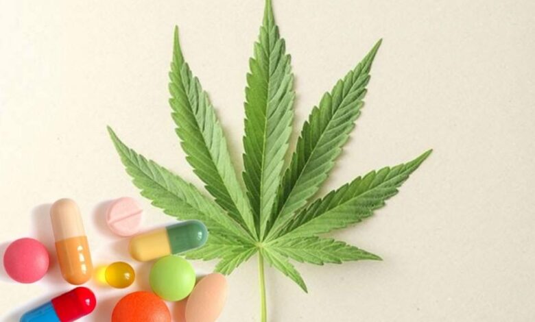 Drugs That Interact With Marijuana Cannabis