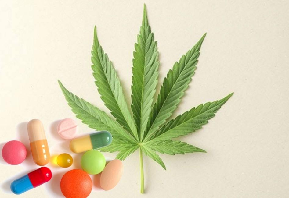 List Of Drugs That Interact With Marijuana (Cannabis) - Meds Safety