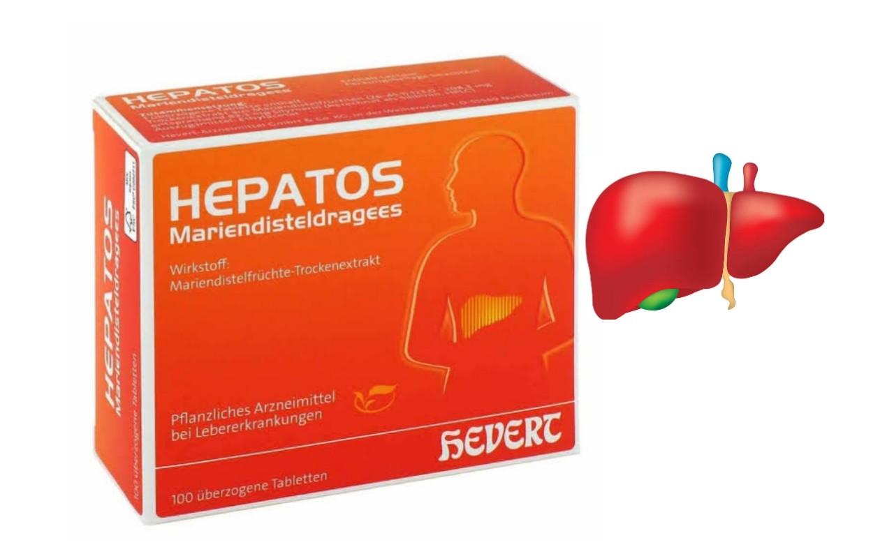 Hepatos