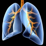 vitamin B12 intake and lung cancer risk
