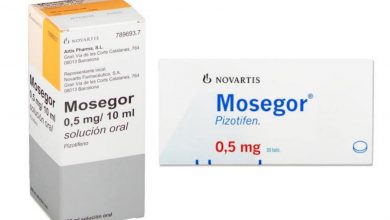 Mosegor