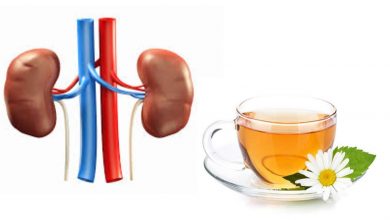 Is Chamomile Tea Good For Kidneys