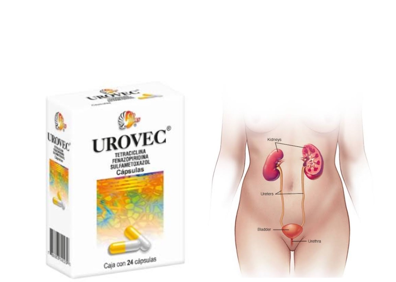 Urovec