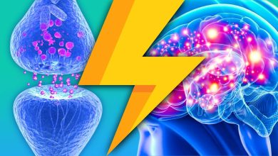 Drugs That Cause Serotonin Syndrome