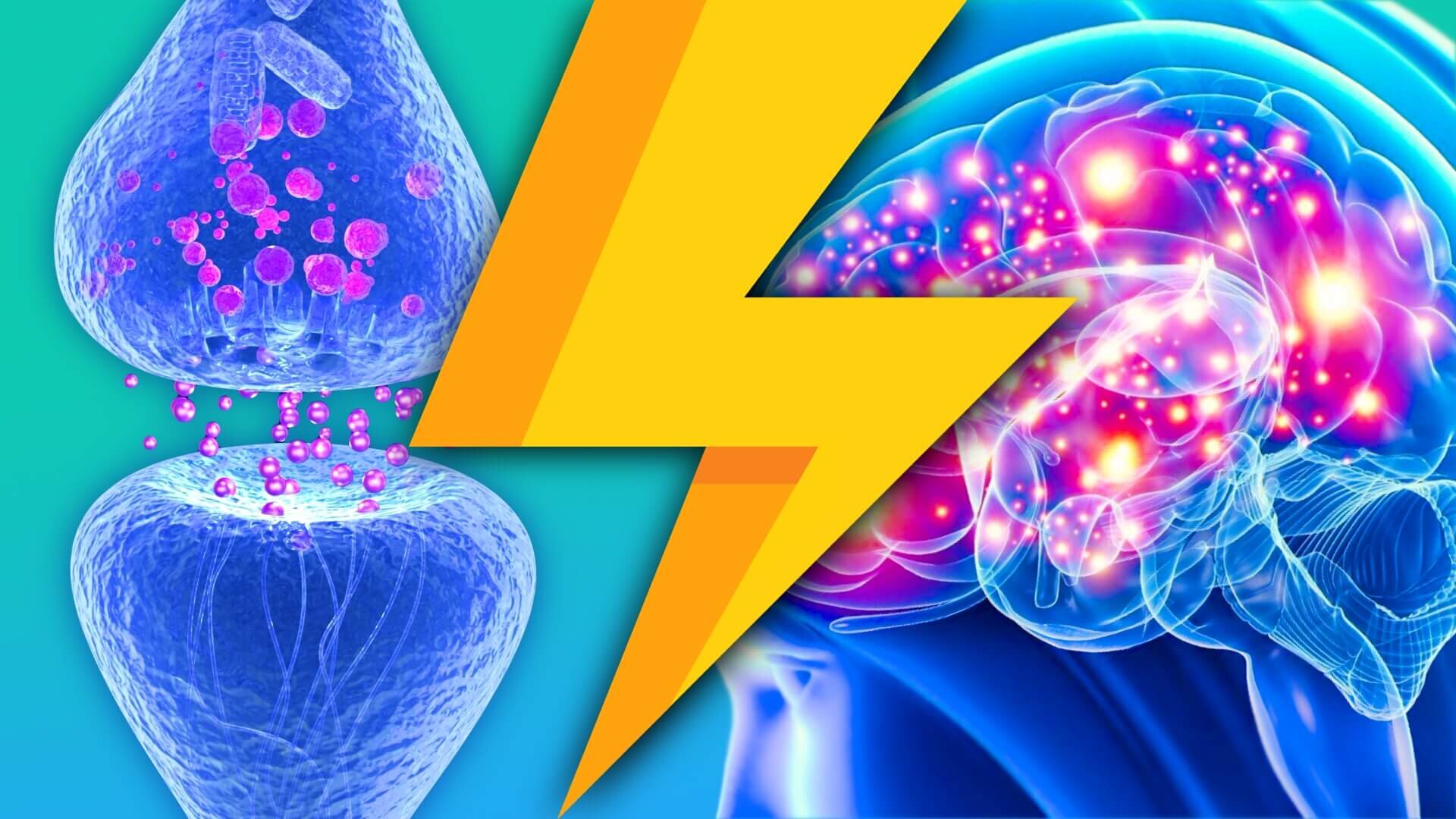 Drugs That Cause Serotonin Syndrome