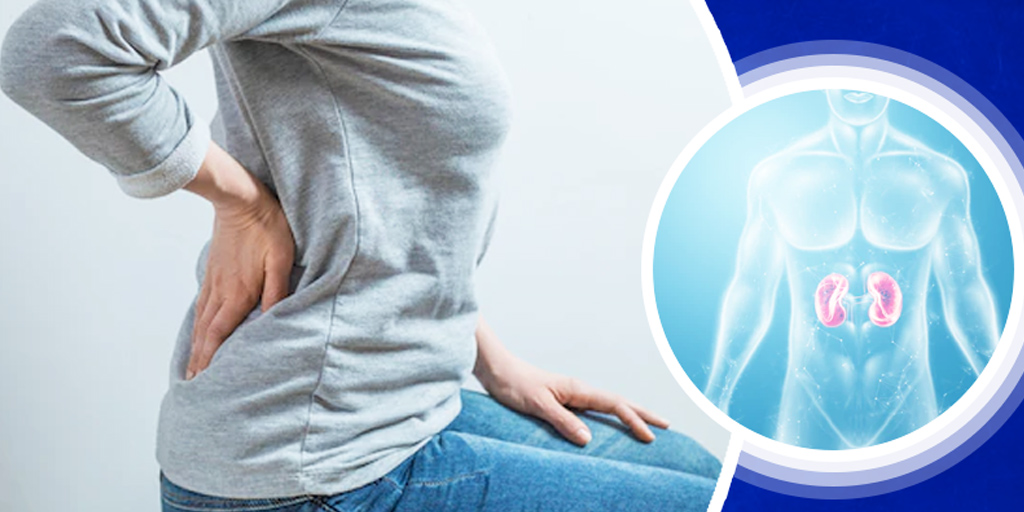 CBD Oil Side Effects On Kidneys