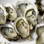 Drugs To Avoid With Shellfish Allergy