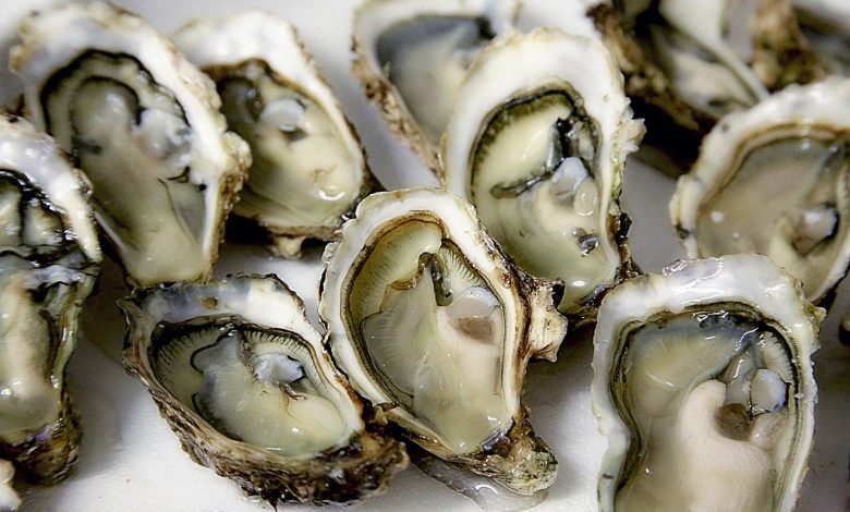 Drugs To Avoid With Shellfish Allergy