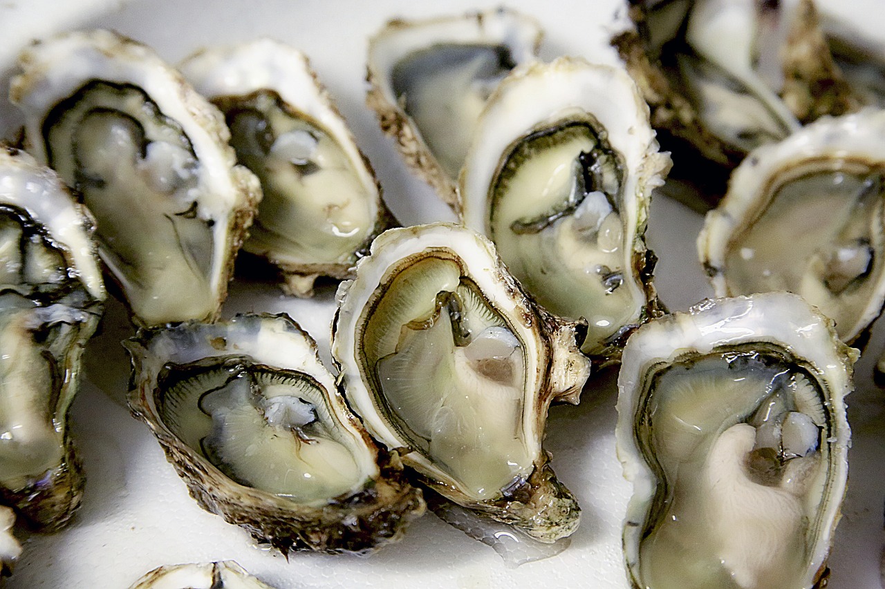 Drugs To Avoid With Shellfish Allergy