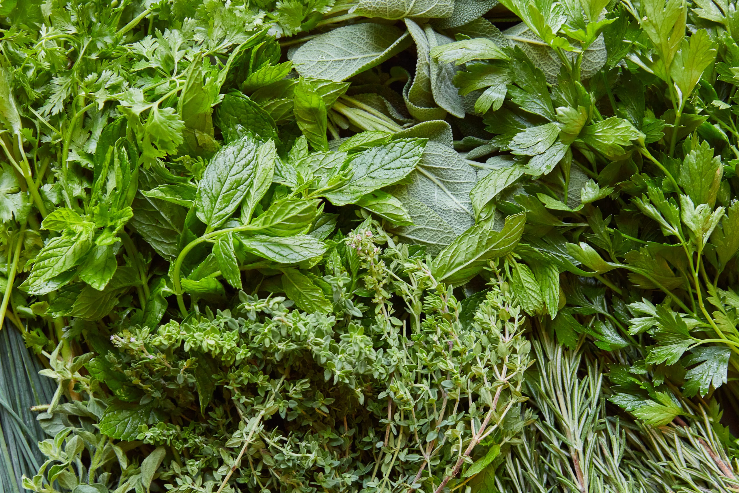 Herbs For High Blood Pressure
