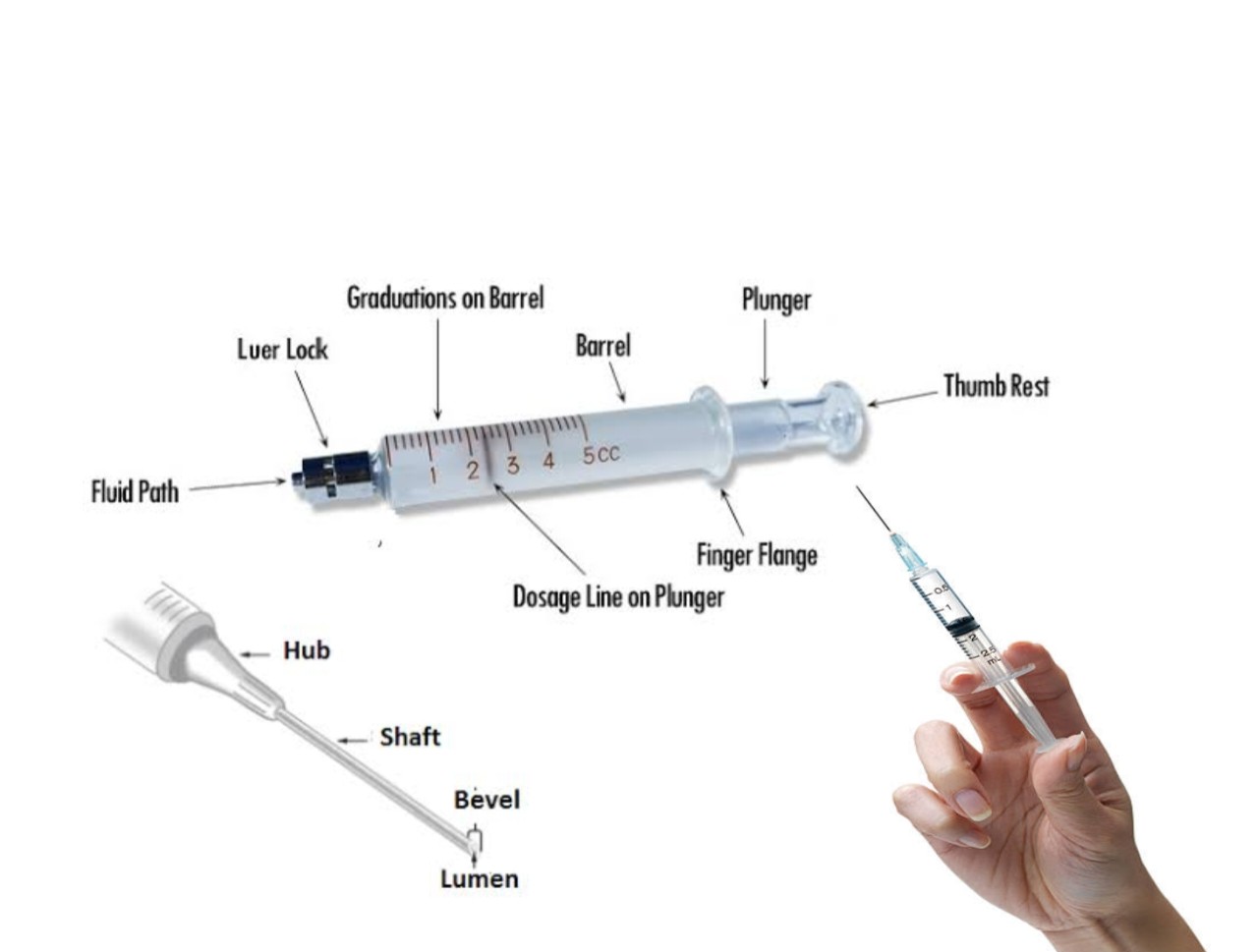 12 Parts Of A Syringe and Their Functions Meds Safety