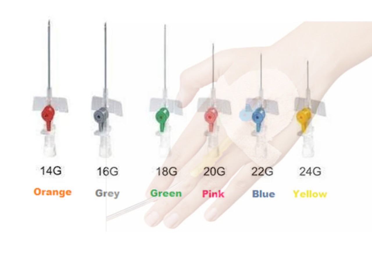 6 Types of Cannula Sizes and Colors Meds Safety