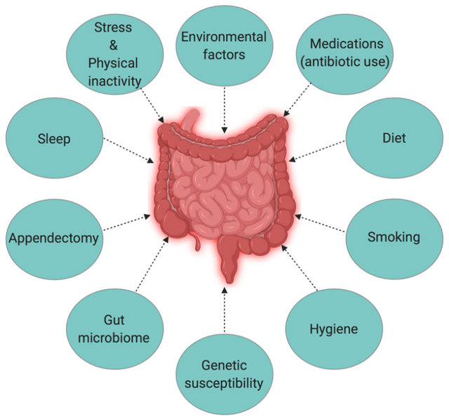 Causes of Inflammatory bowel disease IBD Symptoms