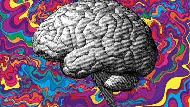 Research Suggests Psychedelics Could Help the Brain Recover from Trauma