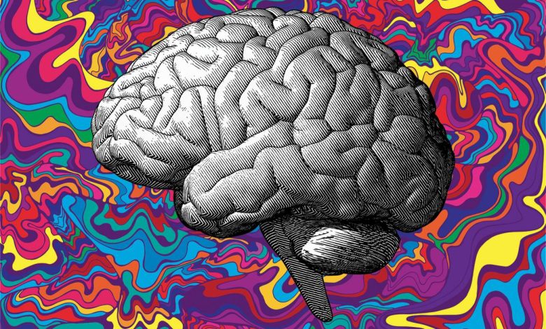 Research Suggests Psychedelics Could Help the Brain Recover from Trauma