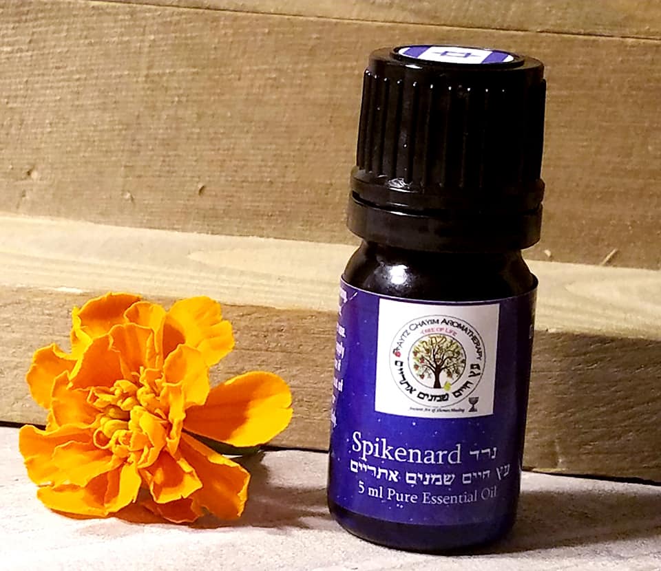 Spikenard oil