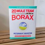 10 Dangers OF Eating Borax