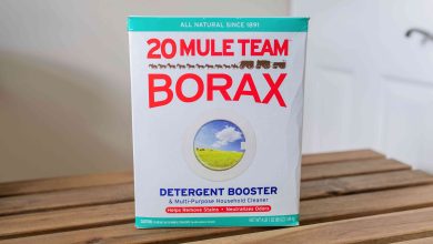 10 Dangers OF Eating Borax