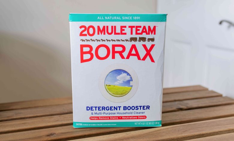 10 Dangers OF Eating Borax