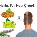 List of 10 Best Herbs for Hair Growth
