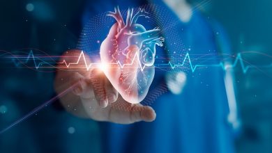 Cardiologist doctor examine patient heart functions and blood vessel on virtual interface. Medical technology and healthcare treatment to diagnose heart disorder and disease of cardiovascular system.