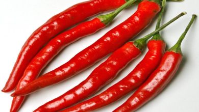 Is Cayenne Pepper good for Gout