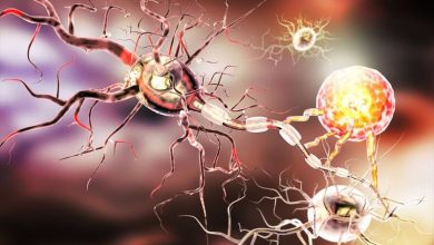 Takeda Expands Neuroscience Portfolio with PIKfyve Targeting Drug Candidates for ALS