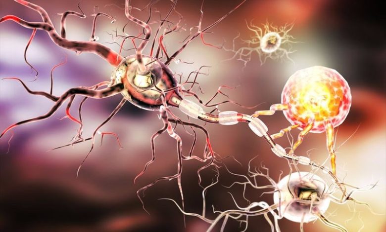Takeda Expands Neuroscience Portfolio with PIKfyve Targeting Drug Candidates for ALS