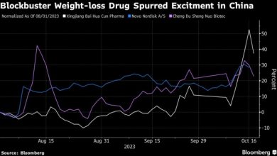 China Weight Loss Drug Stocks Lose Shine on ‘Misleading’ Claims