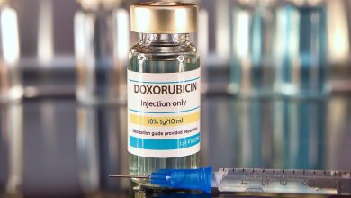 Doxorubicin Market Expected to Grow by USD 469.97 Million from 2022 to 2027