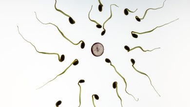Drugs That Can Affect Sperm Quality