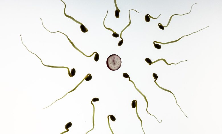 Drugs That Can Affect Sperm Quality