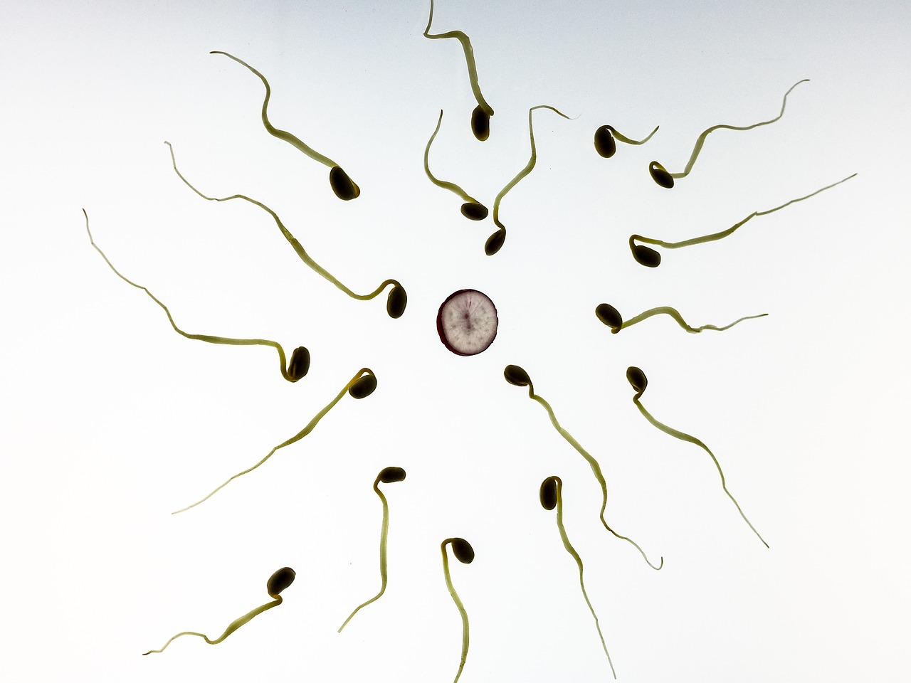 Drugs That Can Affect Sperm Quality