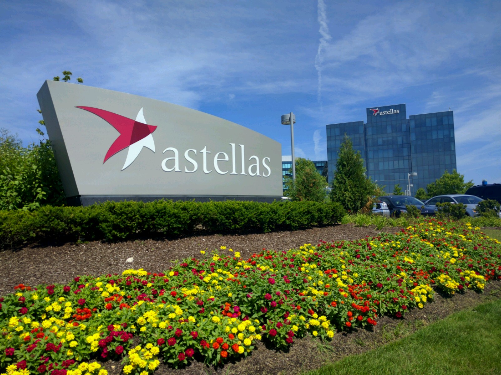 Astellas' Fezolinetant Reduces Frequency and Severity of VMS Associated with Menopause in Women Considered Unsuitable for Hormone Therapy