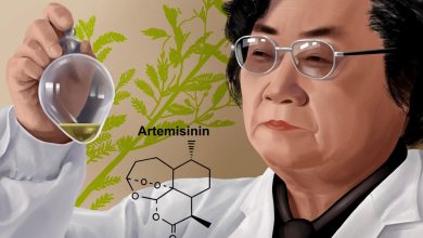 Global Artemisinin Combination Therapy Market Report 2023 Growing R&D of New Artemisinin Combination Therapies