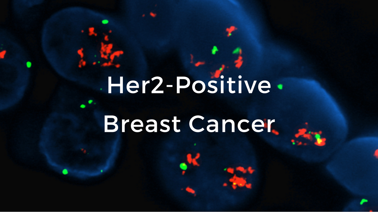 Metastatic HER2 Positive Breast Cancer Market to Grow by 2032 at a 5.2% CAGR