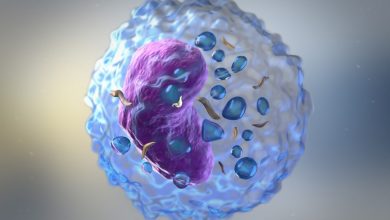 Porton Advanced Partners with Ascle Therapeutics for Innovative NK Cell Therapy Development