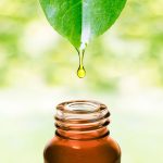 Tea Tree Oil Market Projected to Reach $69.0 Million by 2028, As Demand for Natural Remedies Soars