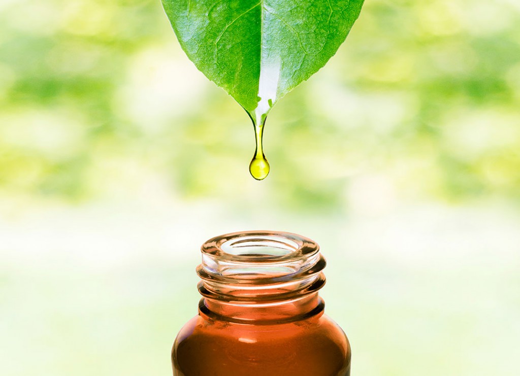 Tea Tree Oil Market Projected to Reach $69.0 Million by 2028, As Demand for Natural Remedies Soars