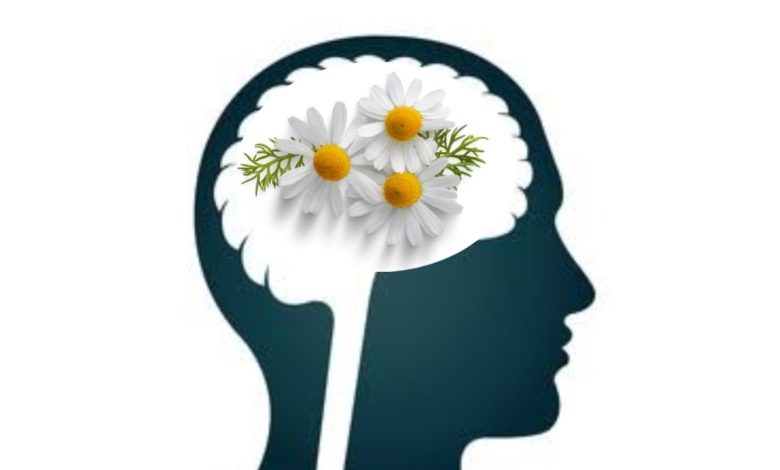 Effects of Chamomile on the Brain